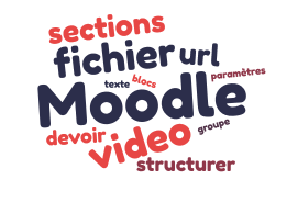 Formations Moodle